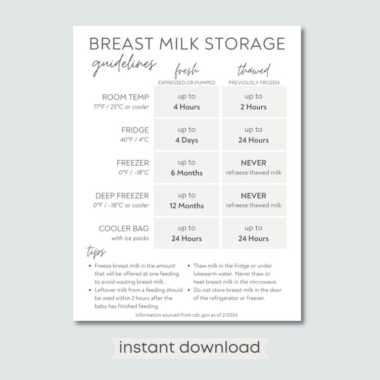Printable Breastmilk Storage Guide Breast Milk Storage Guidelines Sheet PDF Breast Milk Rules Pumping Guide Breast Milk Cheat Sheet Etsy
