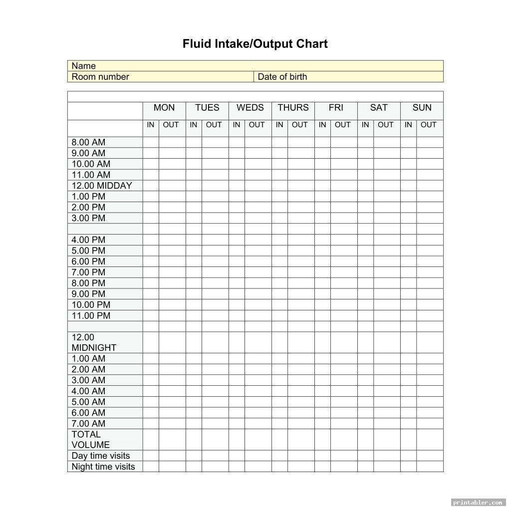 Printable Fluid Intake Chart