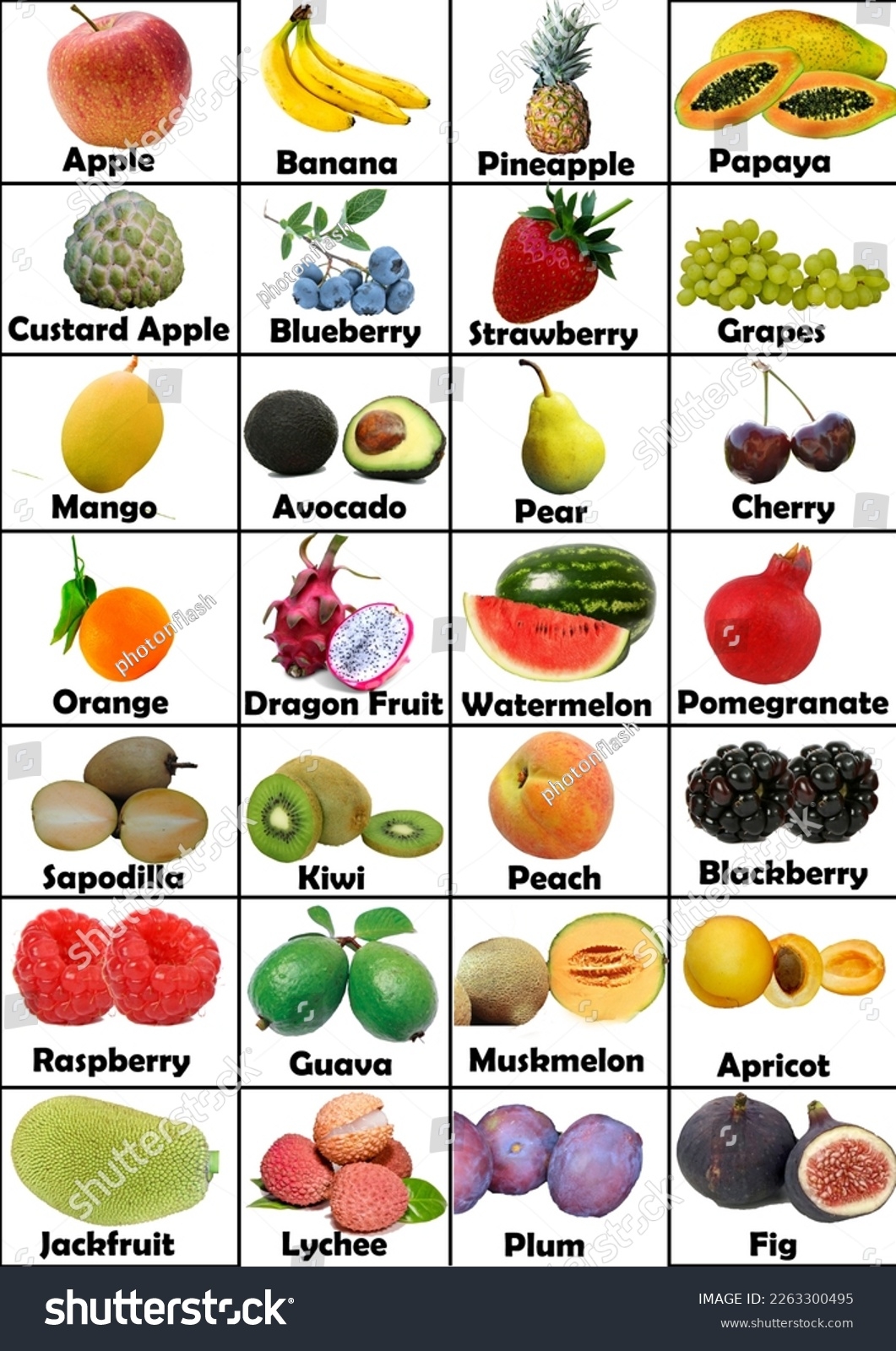 Printable Fruits Chart Kids Learning Stock Illustration 2263300495 Shutterstock