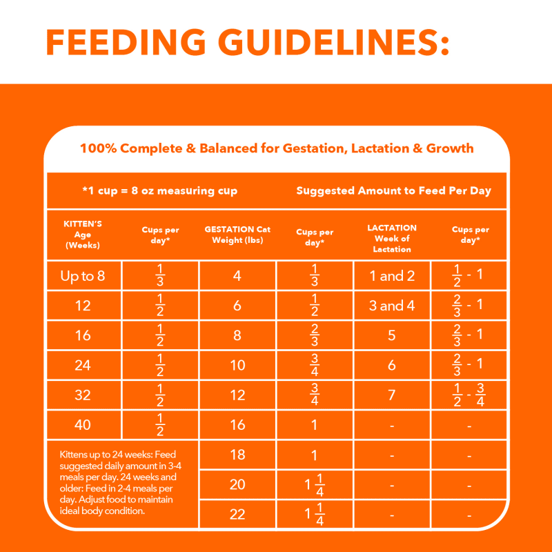 Printable Kitten Weight Chart IAMS PROACTIVE HEALTH HEALTHY KITTEN Printable Kitten Weight Chart IAMS PROACTIVE HEALTH HEALTHY KITTEN