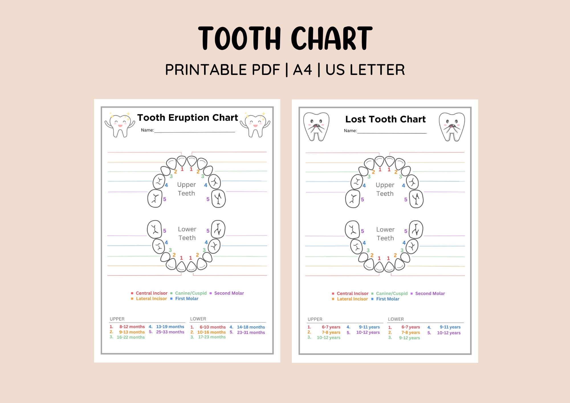 Free Printable Tooth Loss Chart