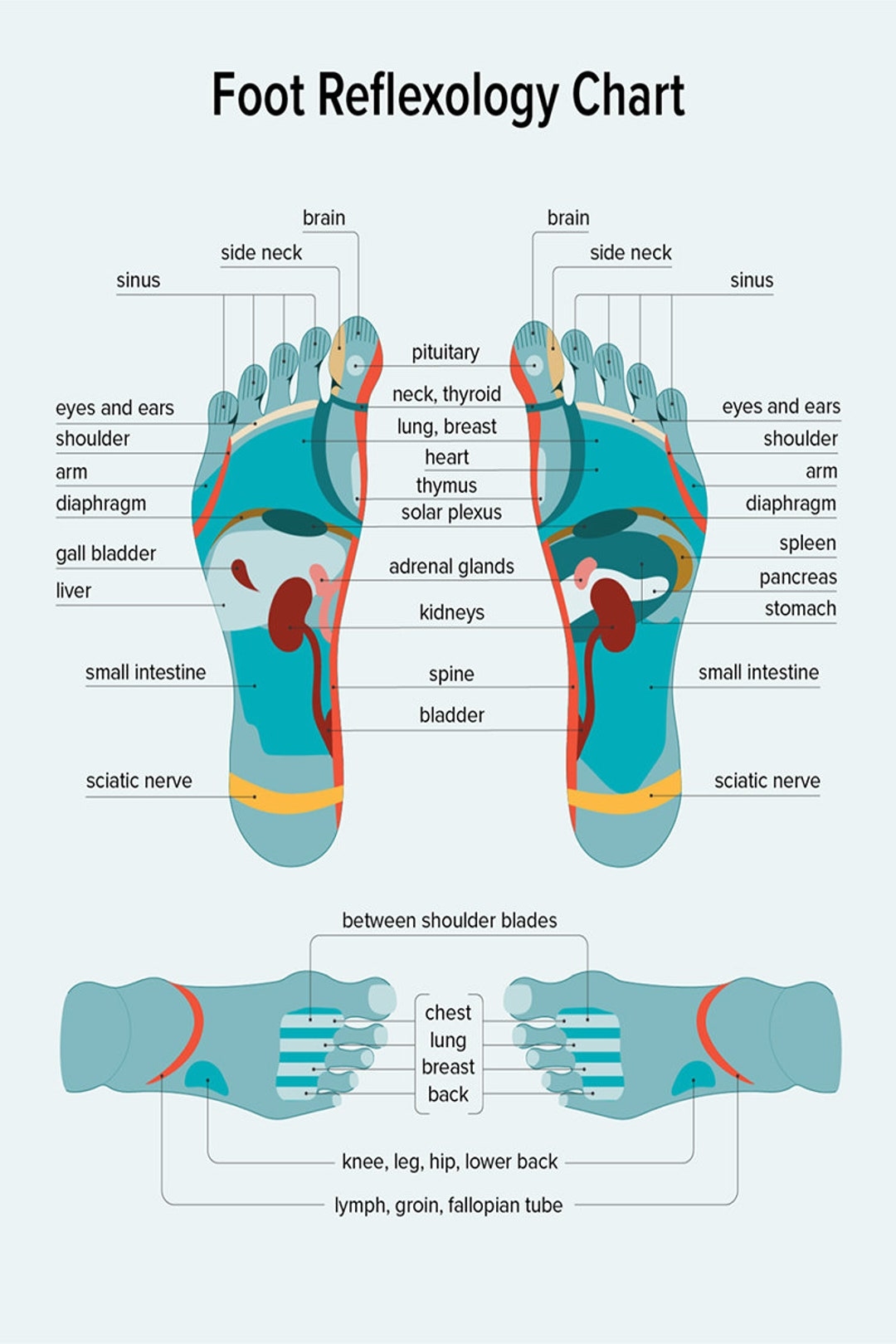 Reflexology Foot Massage Pressure Points In Your Feet Poster Foot Reflexology Chart Wall Art Home decor Etsy