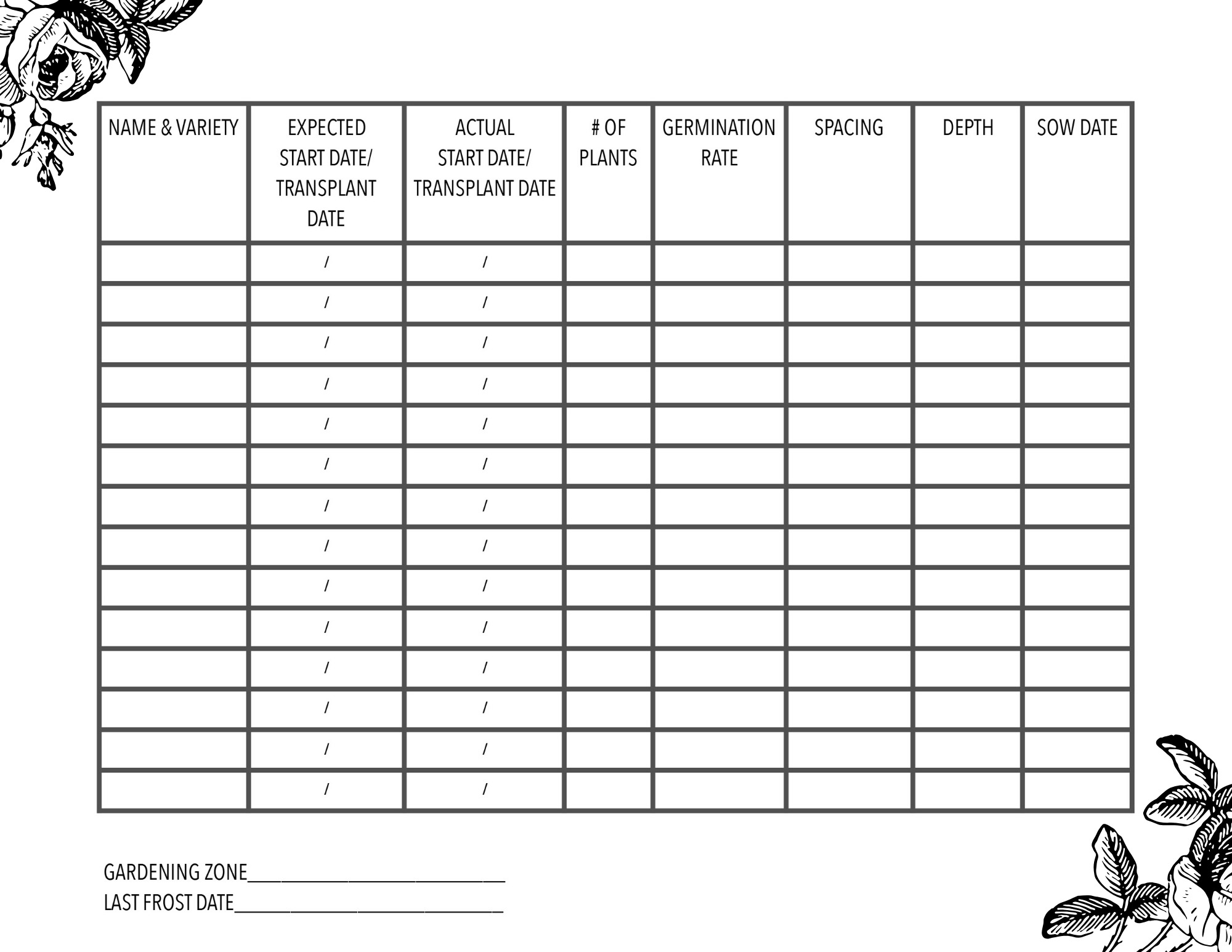 Seed Starting Tips And Tricks Seed Starting Tips And Tricks
