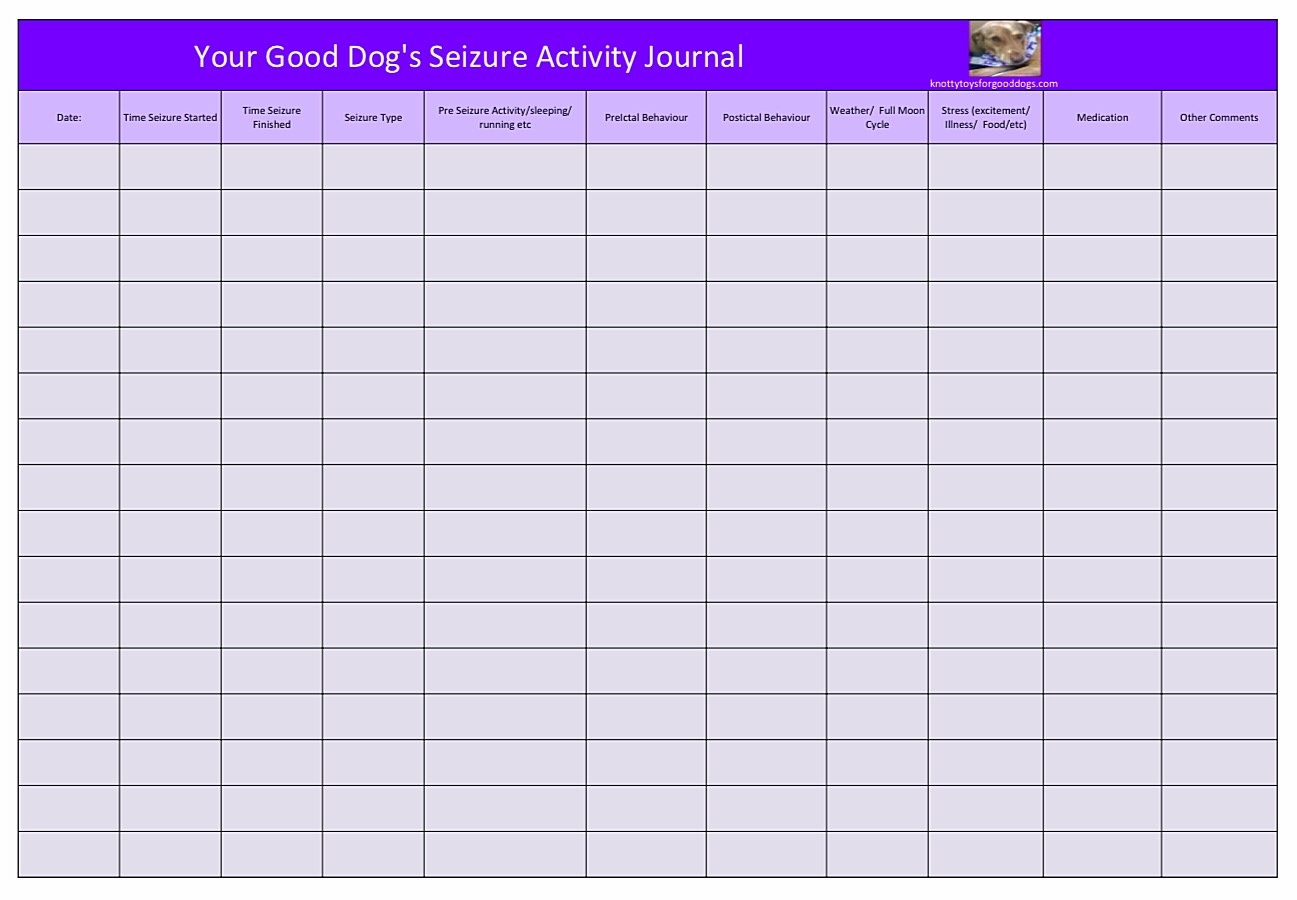 Free Printable Seizure Record Chart