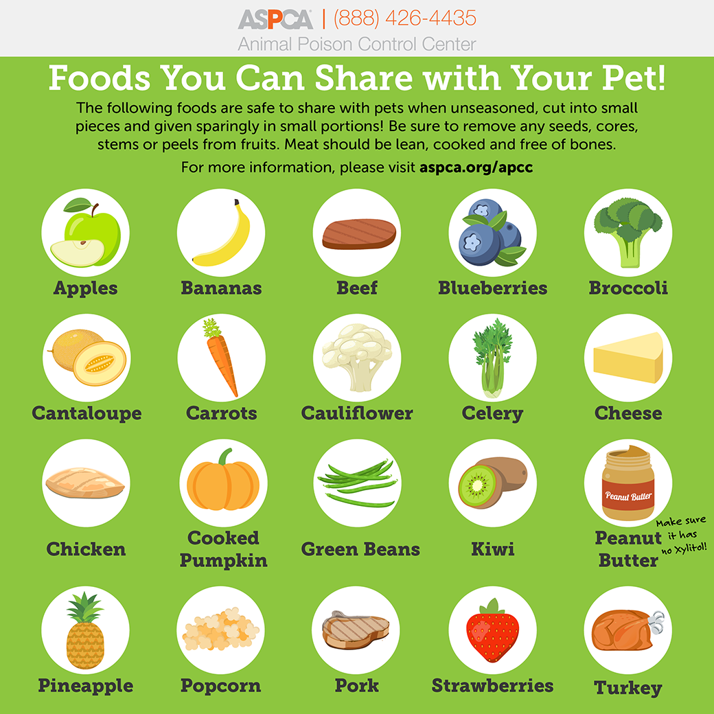 Sharing Is Caring Foods You Can Safely Share With Your Pet ASPCA