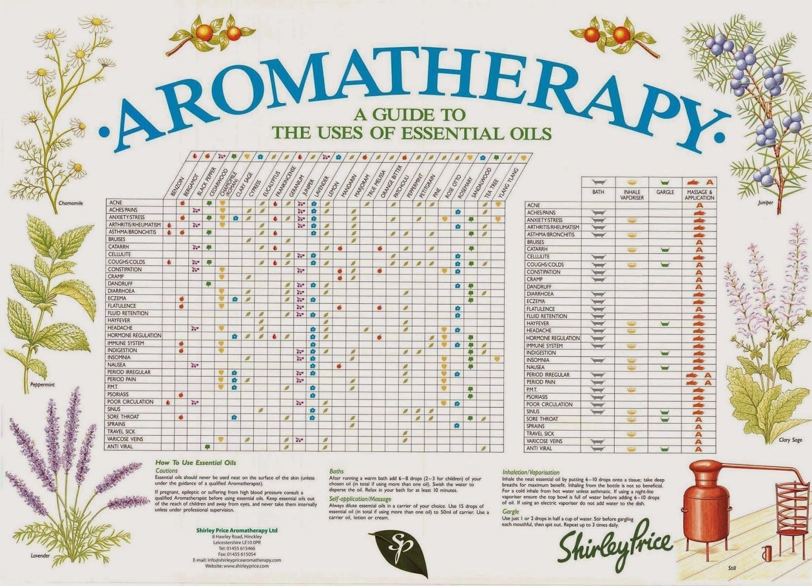 Shirley Price Aromatherapy Reference Chart Poster A2