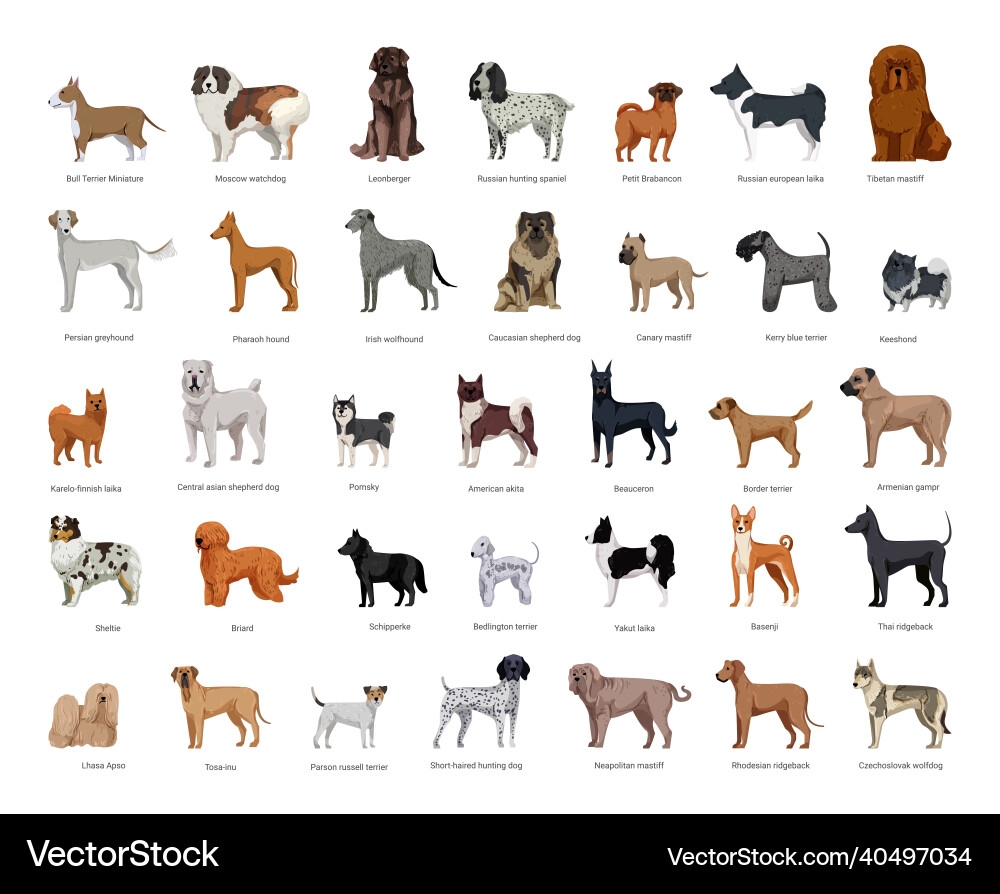 Printable Dog Breed Chart