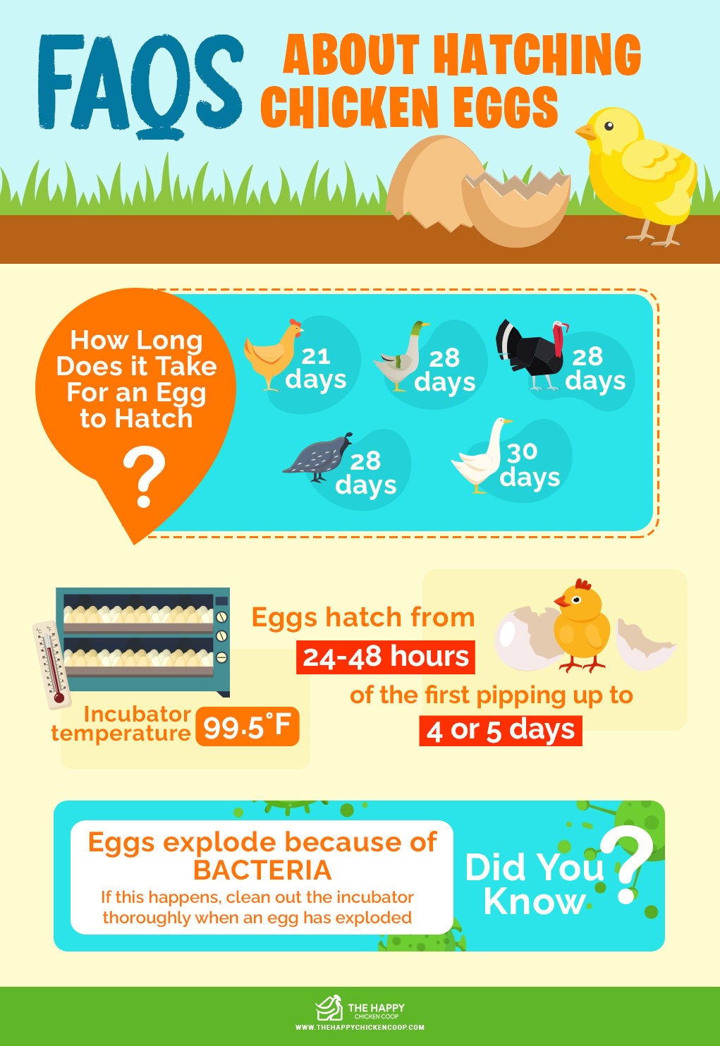 Printable Chicken Egg Incubation Chart
