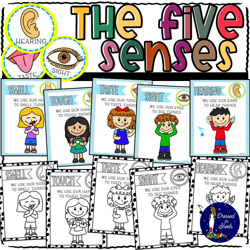 The Five Senses Posters For Kids Made By Teachers