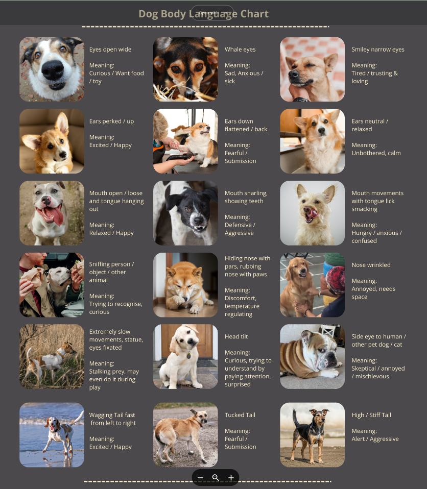 The Secret Language Of Dogs With Dog Body Language Chart