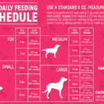 The Ultimate Dog Feeding Schedule Time And Chart