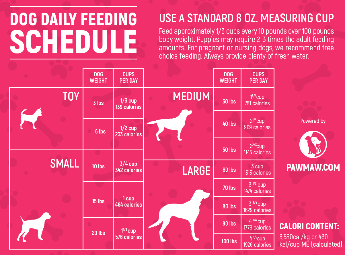 The Ultimate Dog Feeding Schedule Time And Chart