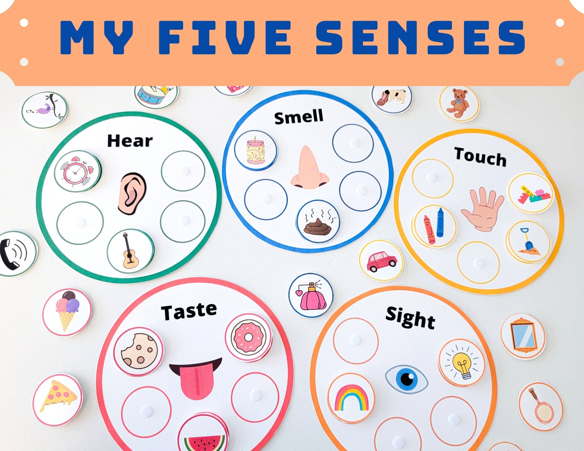 Toddler Five Senses Activities Sorting Learning Matching Busy Book Printable Worksheet Preschool Homeschool Activity Sheets Etsy