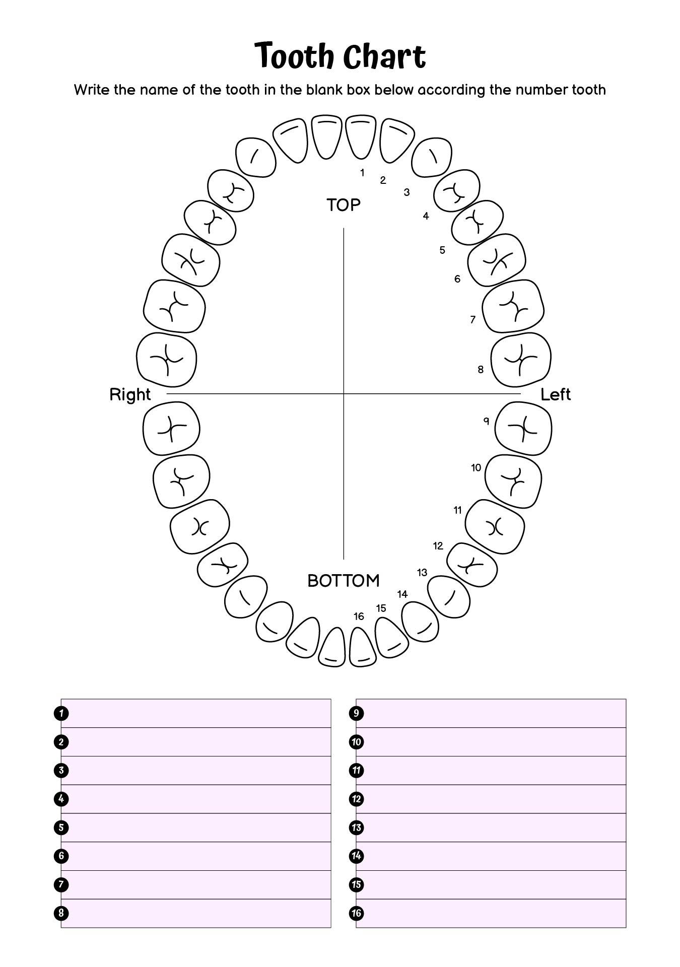 Free Printable Tooth Chart With Numbers