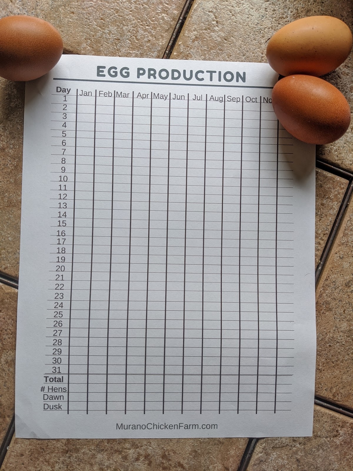 Printable Egg Production Chart