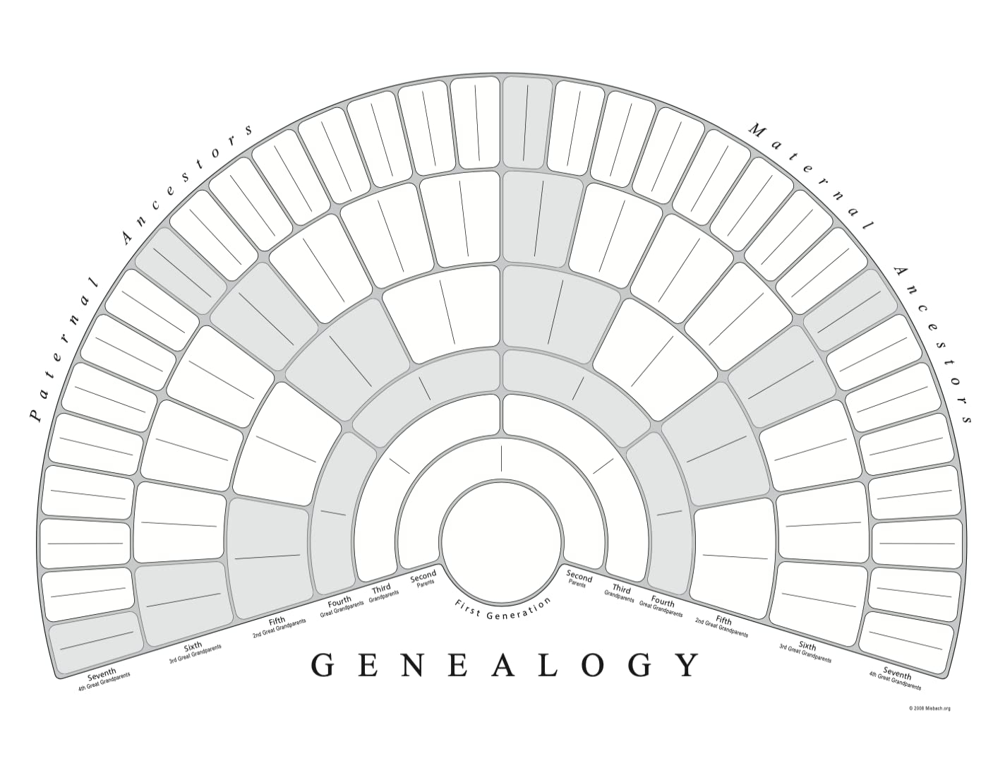 Treeseek Family Tree Chart Blank Genealogy Fan Chart Poster Ancestry Desertcart Seychelles