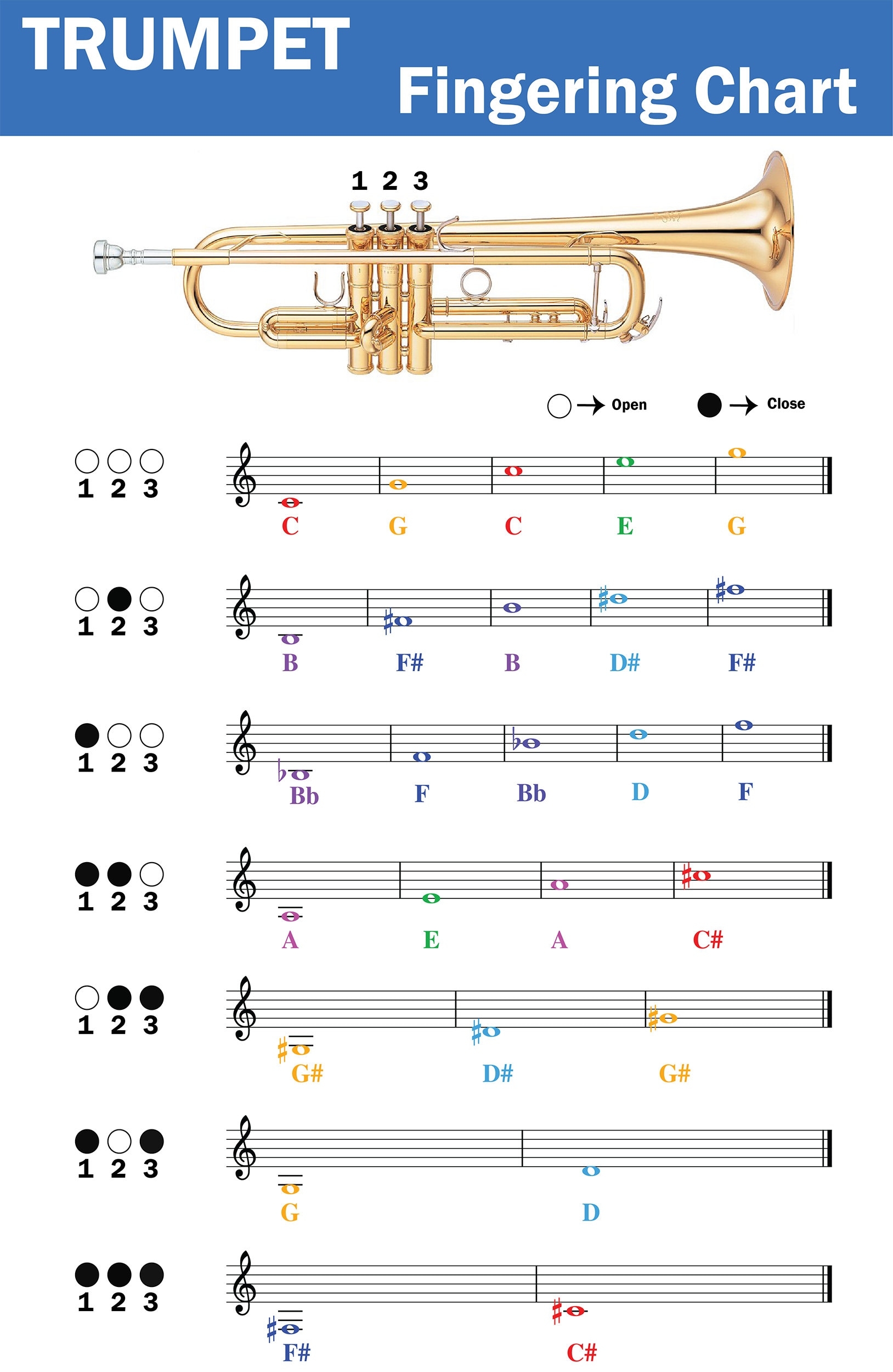 Trumpet Fingering Chart With Color coded Notes Learn Trumpet Technique Suitable For All Levels Etsy Trumpet Fingering Chart With Color coded Notes Learn Trumpet Technique Suitable For All Levels Etsy