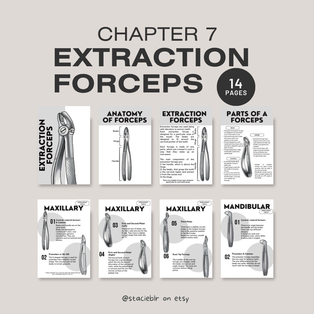 Types Of Dental Extraction Forceps Set Surgical Grade Dental Instruments Maxillary Anterior Types Of Dental Extraction Forceps Set Surgical Grade Dental Instruments Maxillary Anterior