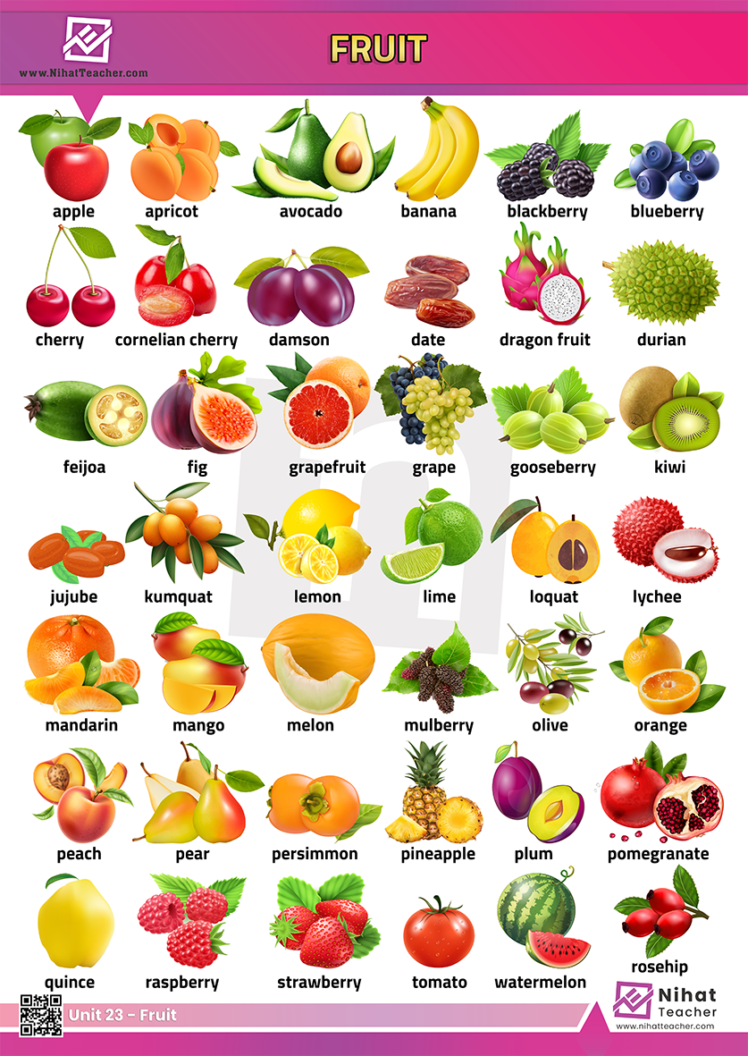Unit 23 Fruit Poster Free English Learning And Teaching Resources Free PDF Worksheets And Multiple Choice Tests 