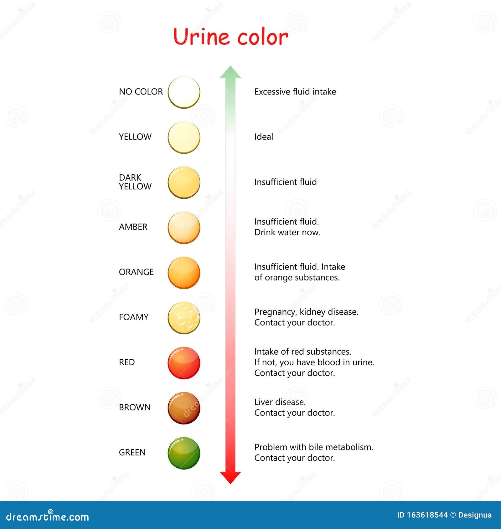 Printable Dehydration Urine Color Chart