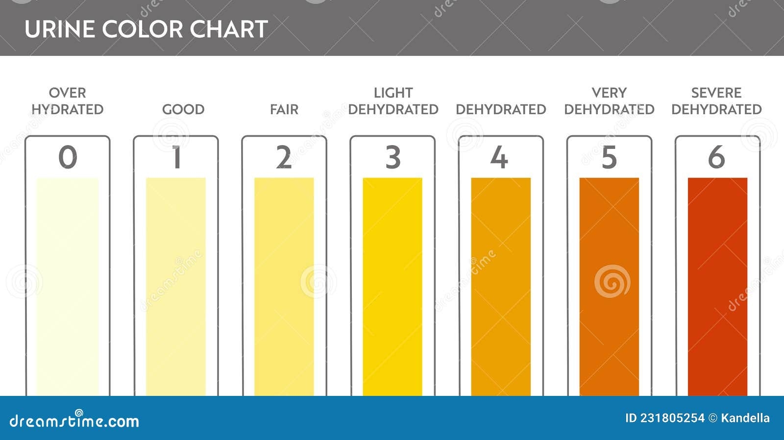 Free Printable Urine Color Chart
