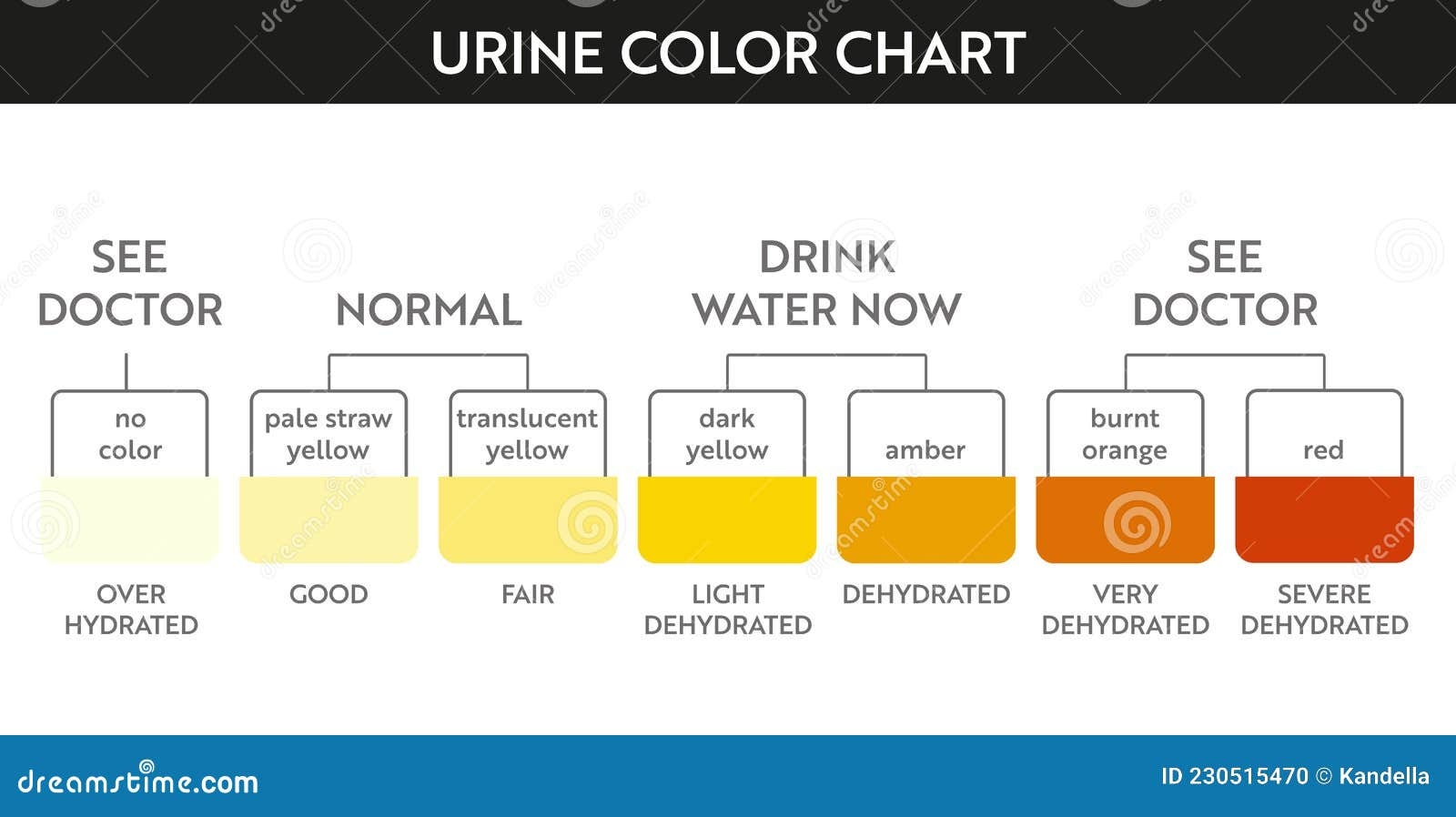 Urine Color Chart Stock Vector Illustration Of Yellow 230515470 Urine Color Chart Stock Vector Illustration Of Yellow 230515470