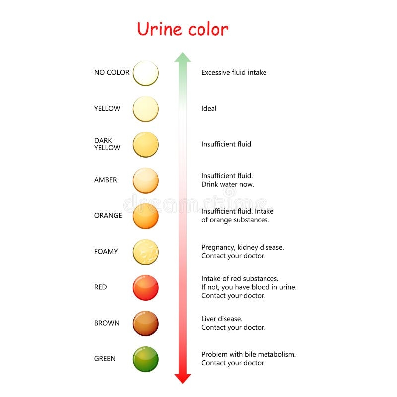 Free Printable Urine Hydration Chart Free Printable Urine Hydration Chart