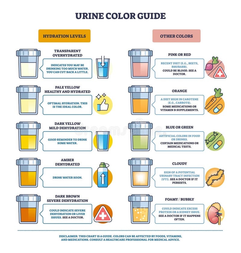 Urine Hydration Chart Stock Illustrations 36 Urine Hydration Chart Stock Illustrations Vectors Clipart Dreamstime Urine Hydration Chart Stock Illustrations 36 Urine Hydration Chart Stock Illustrations Vectors Clipart Dreamstime