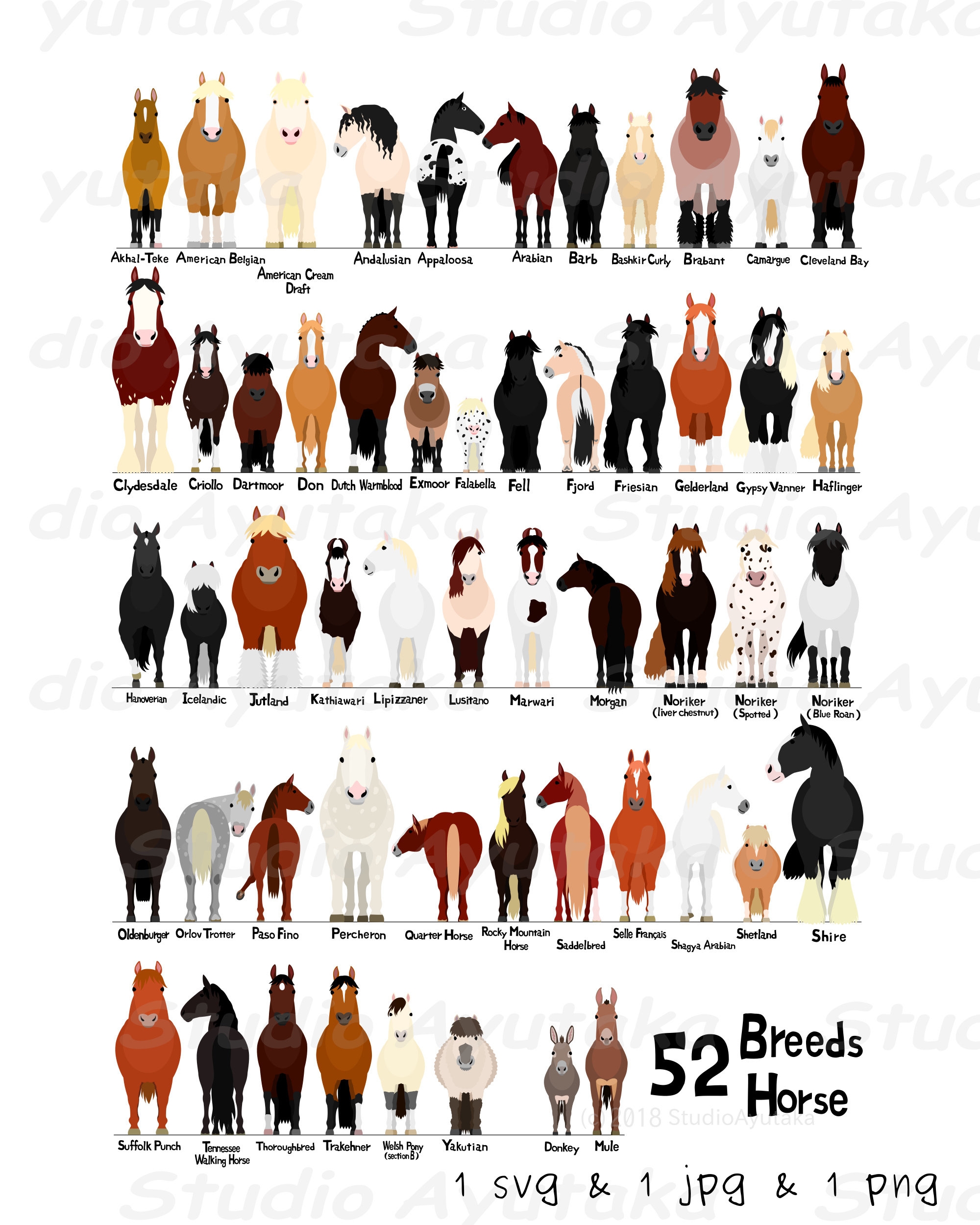 Various Breeds Of Horses Chart Svg Jpg Png 16 20 Etsy