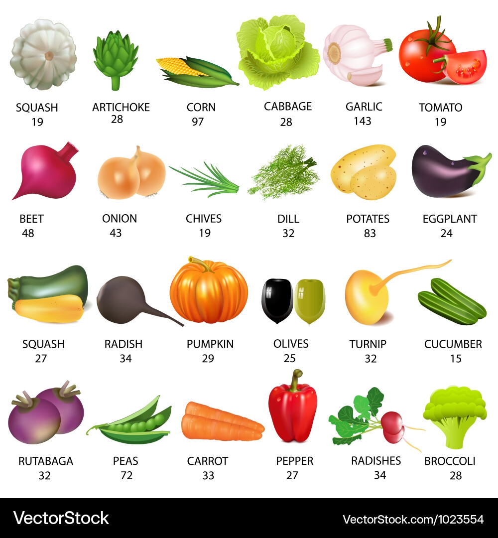 Vegetable Calories Chart Royalty Free Vector VectorStock Vegetable Calories Chart Royalty Free Vector VectorStock