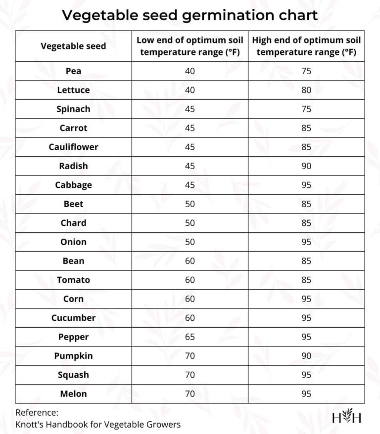 Vegetable Seed Germination Chart Home For The Harvest