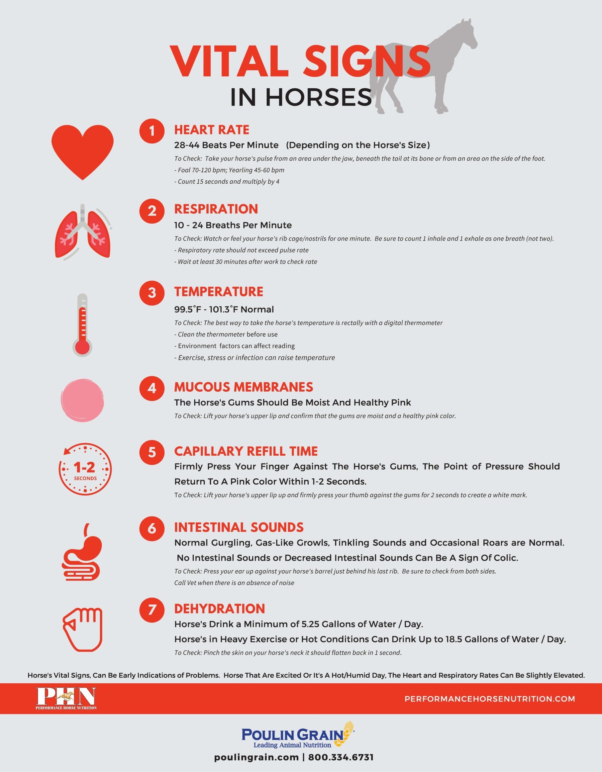 Vital Signs In Horses Vital Signs In Horses