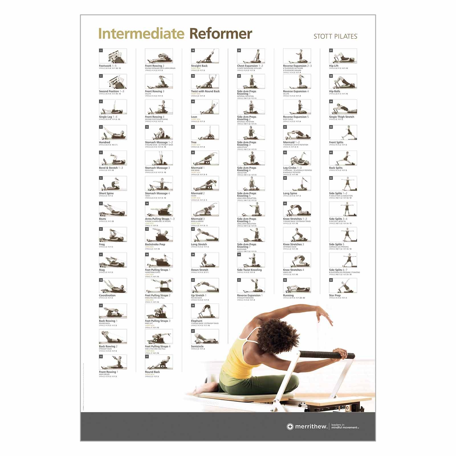 Wall Chart Intermediate Reformer Merrithew 
