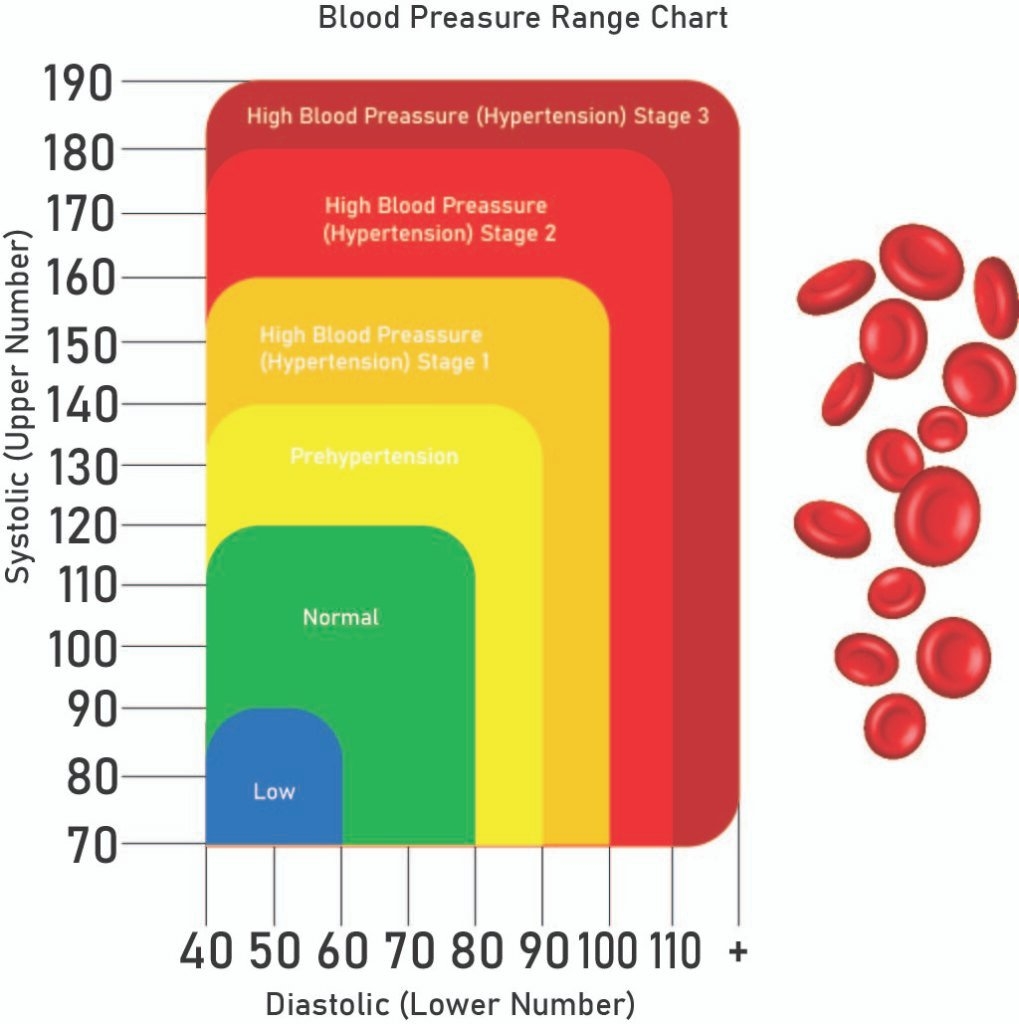 What Do Blood Pressure Readings Mean Elite Medical Training
