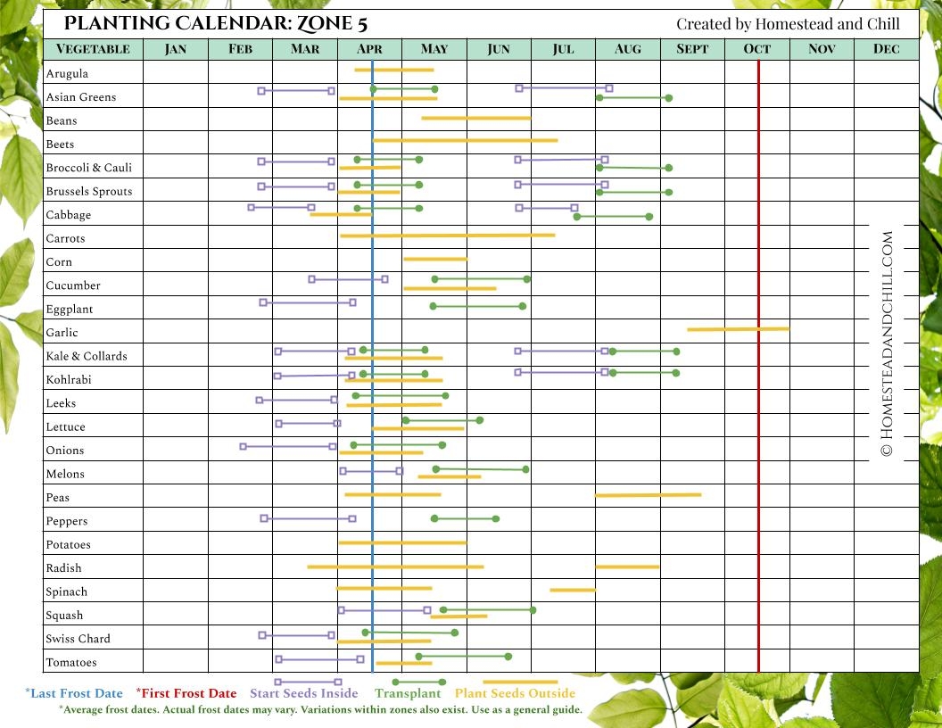 When To Start Seeds Indoors Planting Calendars For Every Zone Homestead And Chill When To Start Seeds Indoors Planting Calendars For Every Zone Homestead And Chill
