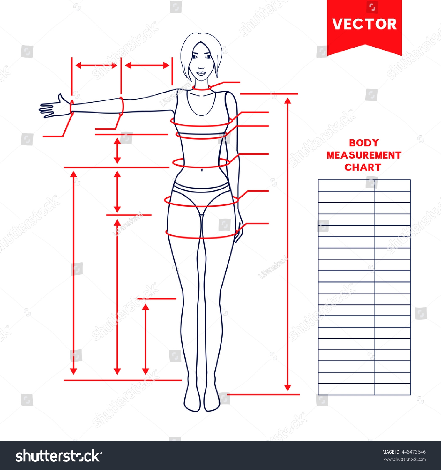 Woman Body Measurement Chart Scheme Measurement Stock Vector Royalty Free 448473646 Shutterstock