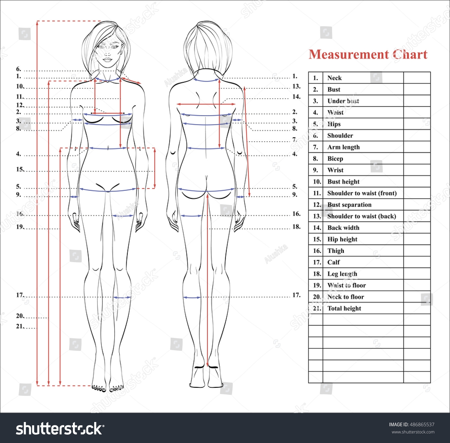 Free Printable Body Measurement Chart Female