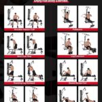 Workout Routine Bowflex Power Pro Exercises Workout Chart Bowflex Bicep Exercises Workout Routine Best Bowflex