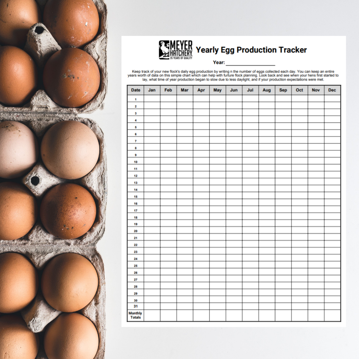 Yearly Egg Production Tracker Meyer Hatchery Blog