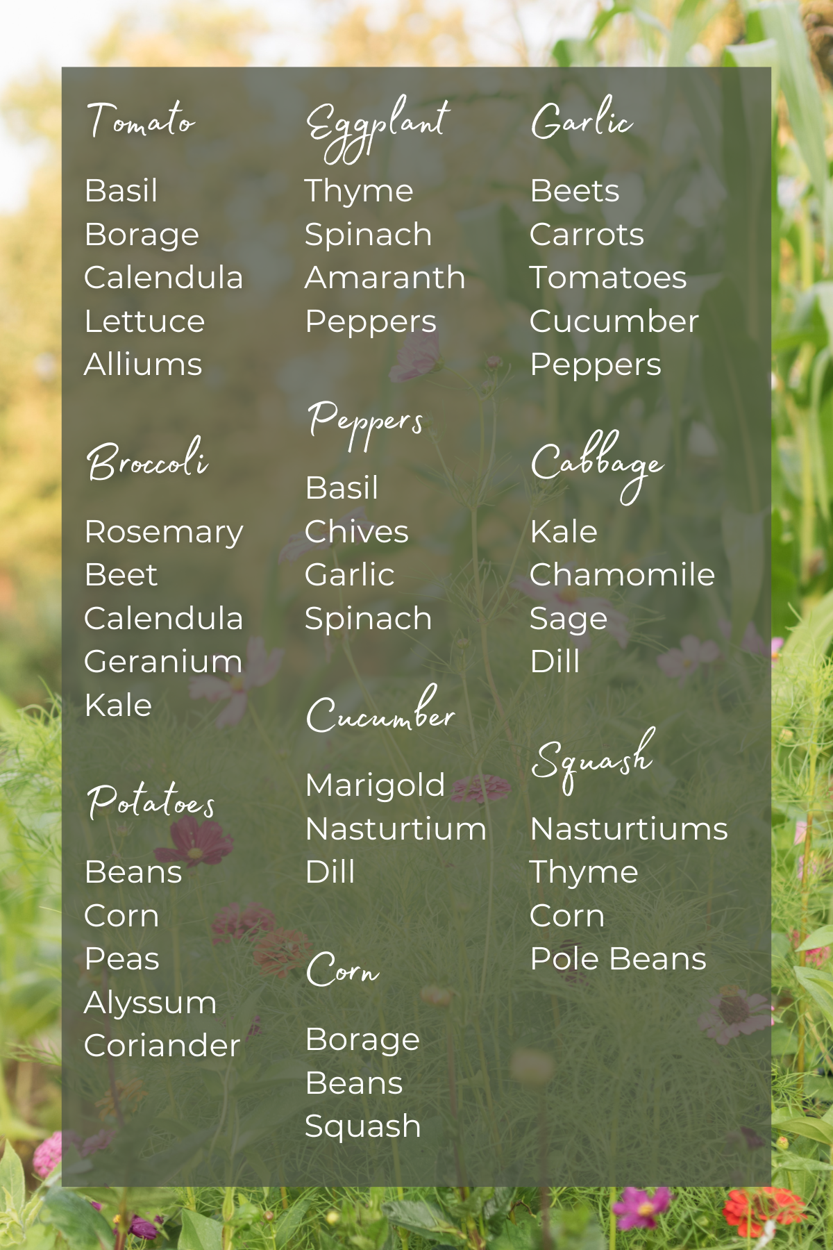 Your Companion Planting Chart For A Healthier Happier Garden